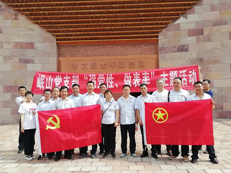 william威廉中文官网党支部“强党性、做表率”主题活动