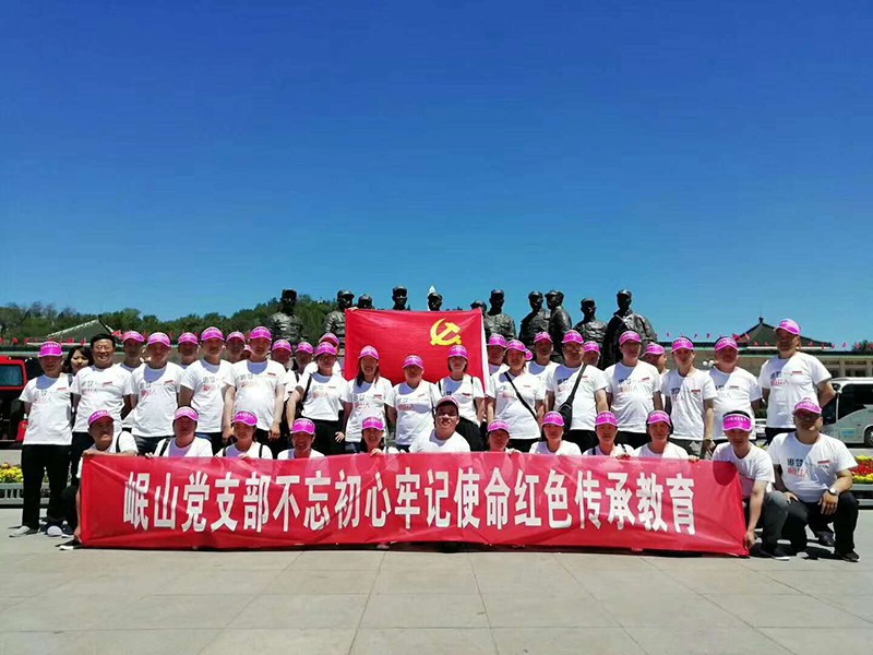 william威廉中文官网党支部不忘初心牢记使命红色传承教育